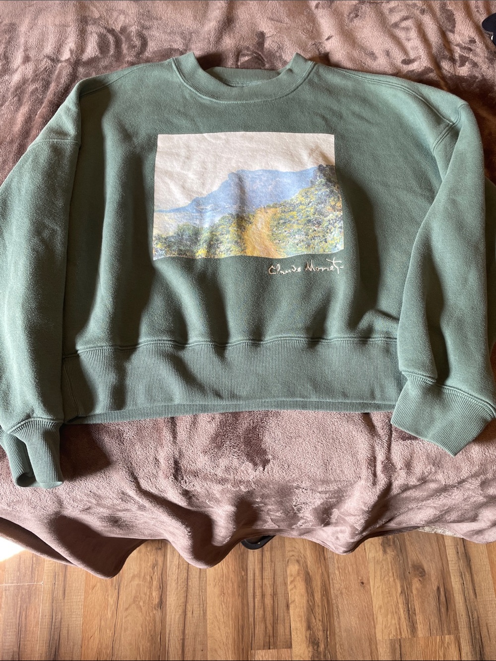 Abercrombie & Fitch Sage Green Crewneck with Landscape Print